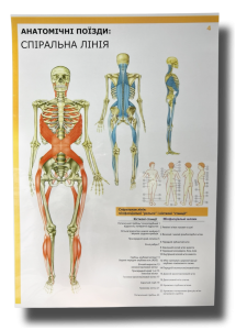 Комплект плакатів "Анатомічні поїзди" (з 7 частин)