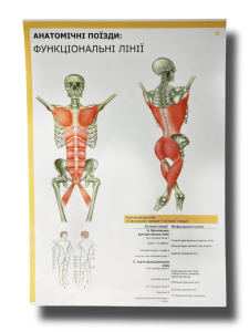 Комплект плакатів "Анатомічні поїзди" (з 7 частин)